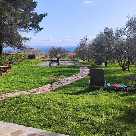 Agriturismo La Villetta San Lorenzo Nuovo Eksteriør bilde
