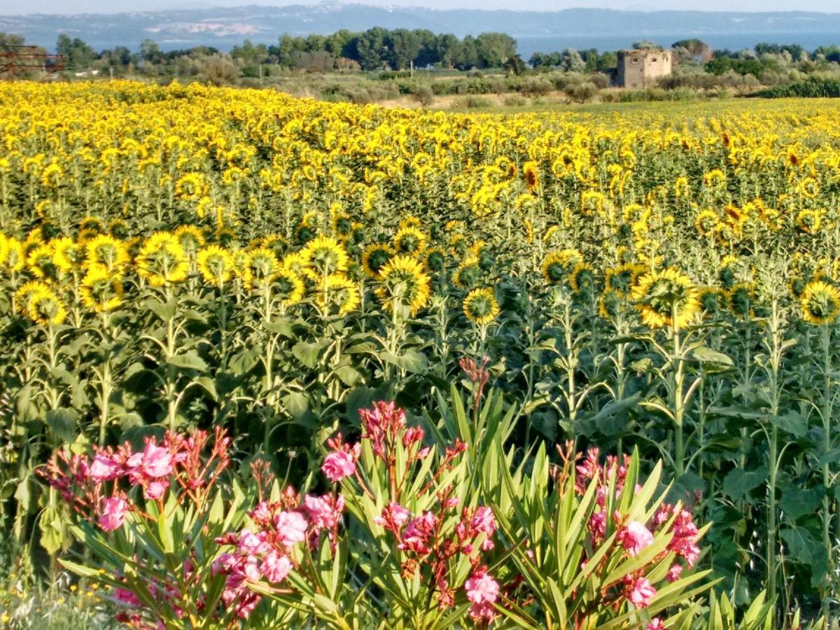 Agriturismo La Villetta San Lorenzo Nuovo Eksteriør bilde