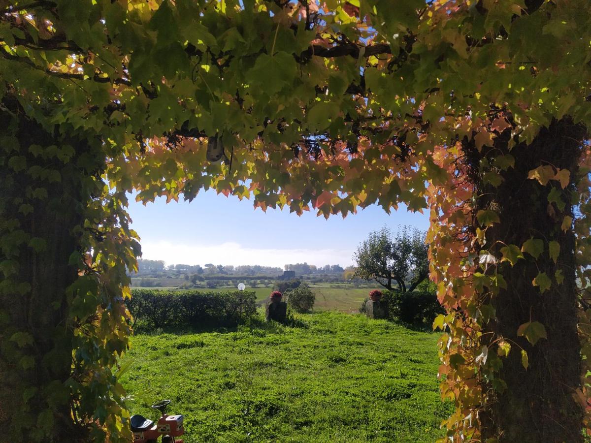 Agriturismo La Villetta San Lorenzo Nuovo Eksteriør bilde