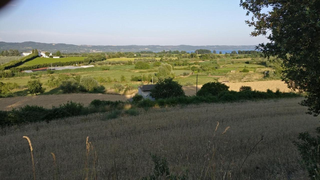 Agriturismo La Villetta San Lorenzo Nuovo Eksteriør bilde